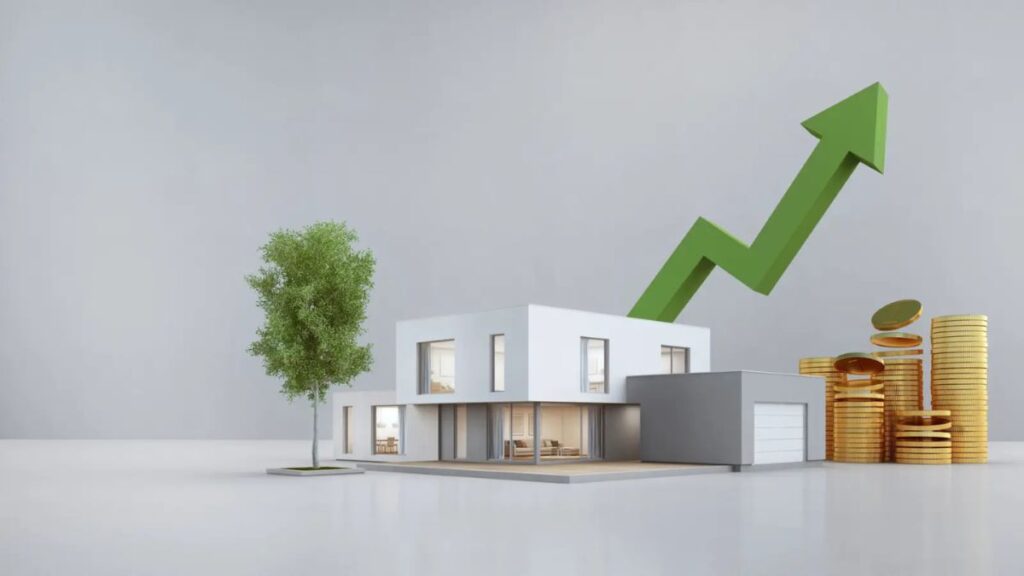 pedrovazpaulo wealth investment